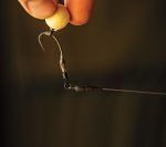 IMG_20250408_092728
