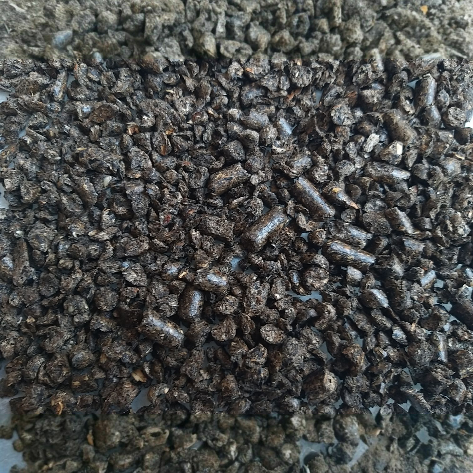 Гранулы Жирного Подсолнуха 1 кг.